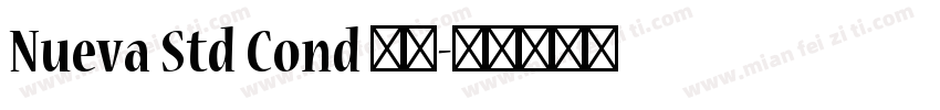 Nueva Std Cond 粗体字体转换